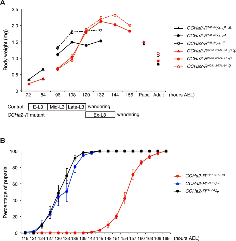 <i>CCHa2-R</i> mutants show growth defects and developmental delay.