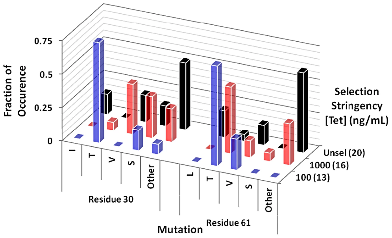 Overview of amino acid substitutions at mutation hot spots for cassette mutagenesis libraries.