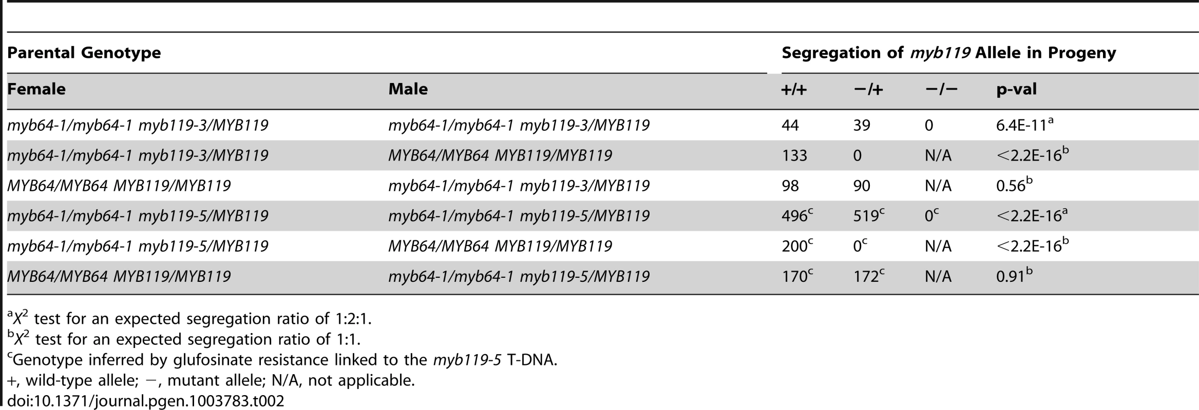 Segregation of <i>myb119</i> alleles.