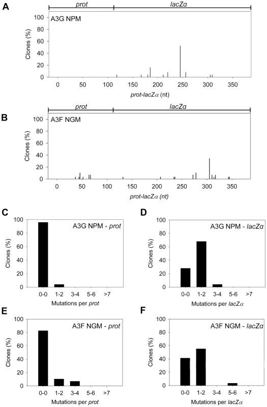 Cytosine deamination-induced mutagenesis by mutant A3G and A3F in a model HIV replication system.