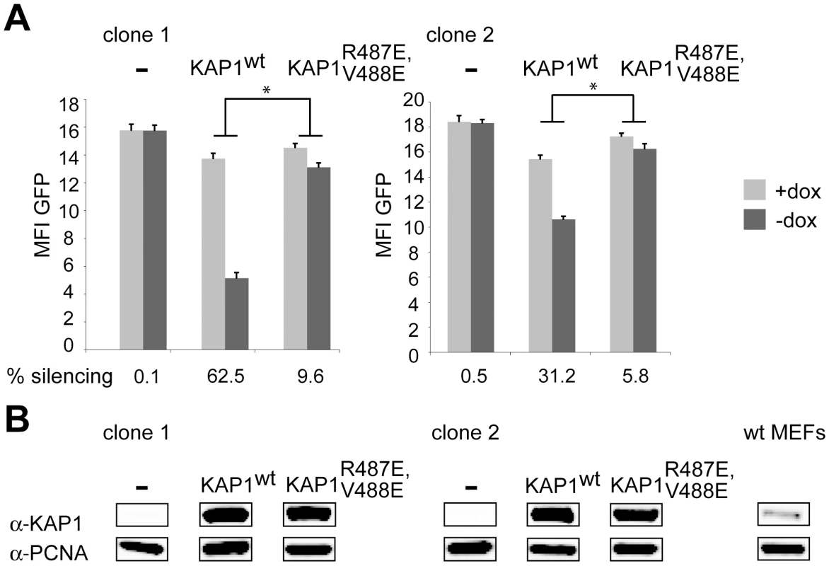 HP1 facilitates KRAB/KAP1–mediated long-range repression.