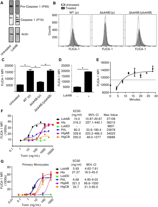 LukAB is a potent activator of Caspase 1.