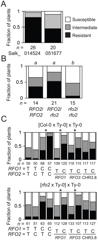 T-DNA insertion allele <i>rfo2</i> abolishes <i>RFO2</i> QTL.
