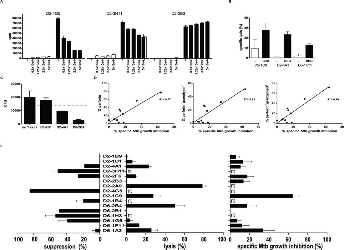 HLA-E restricted T-cell clones possess either suppressive or cytolytic activity.