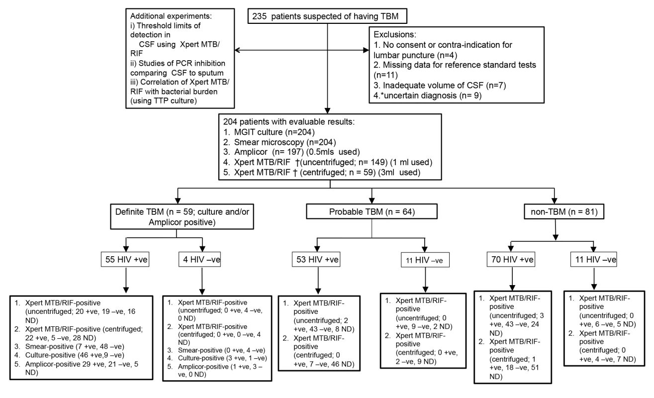 Summary flow chart of patient recruitment and diagnostic testing performed.