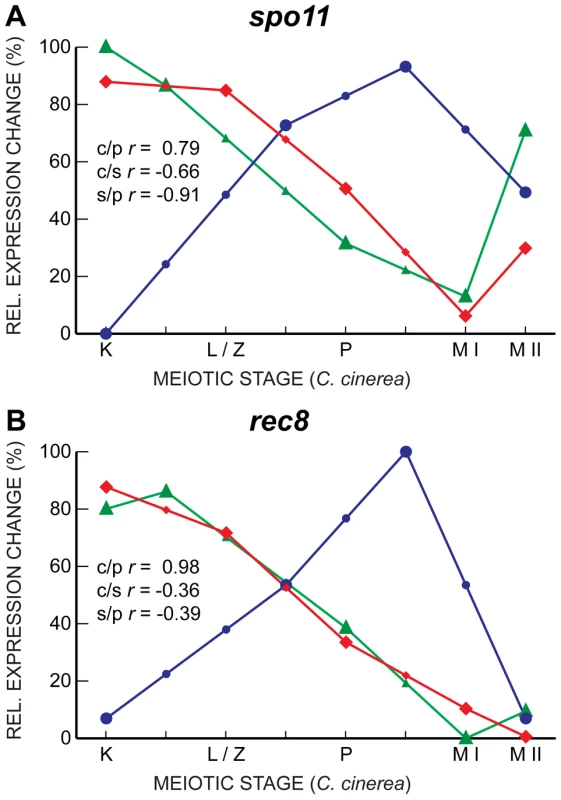 Gene expression in <i>spo11</i> and <i>rec8</i> are well-correlated only between <i>C. cinerea</i> and <i>S. pombe</i>.