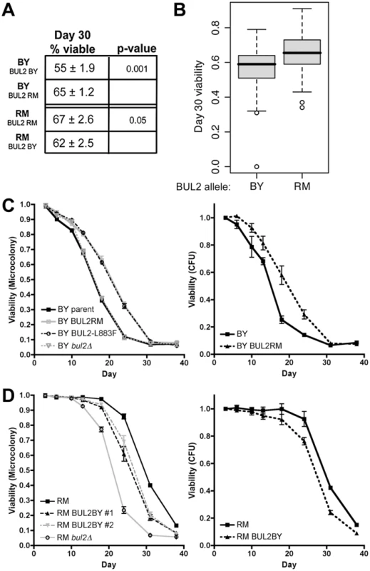 The BUL2 polymorphism regulates chronological lifespan.