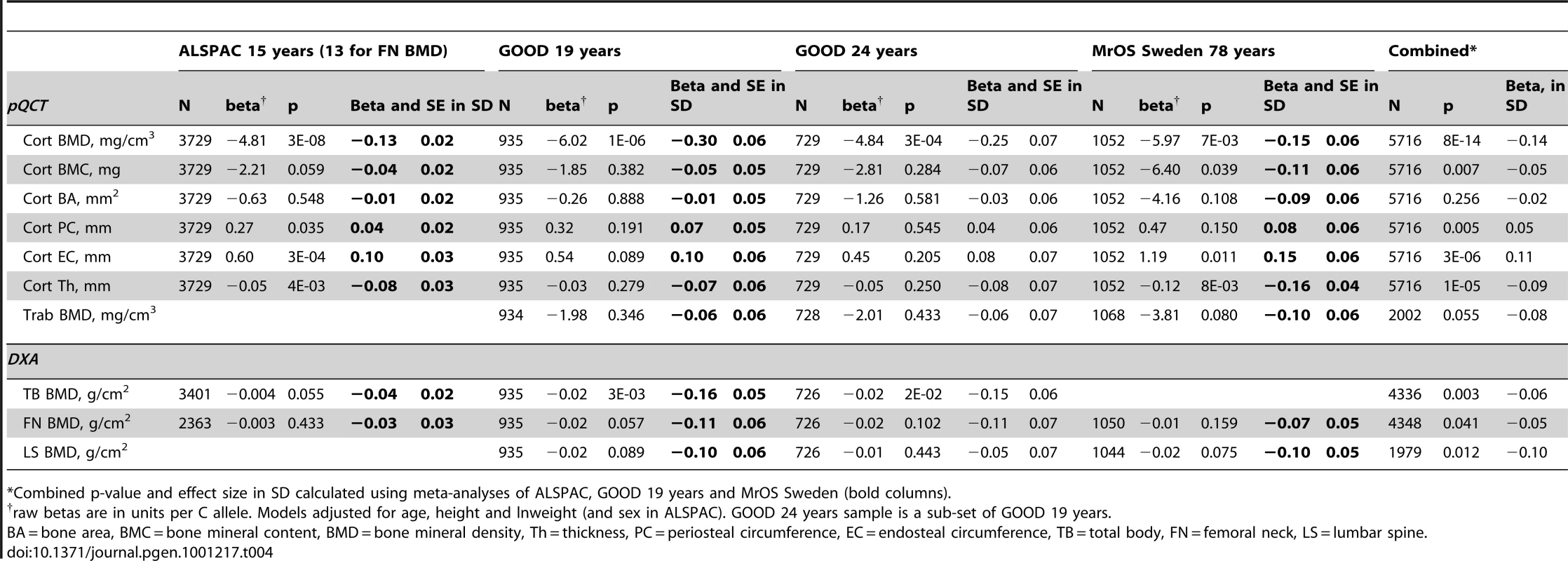 rs1021188 associations with bone parameters at different ages and meta-analyses results (combining ALSPAC, GOOD 19, and MrOS Sweden).