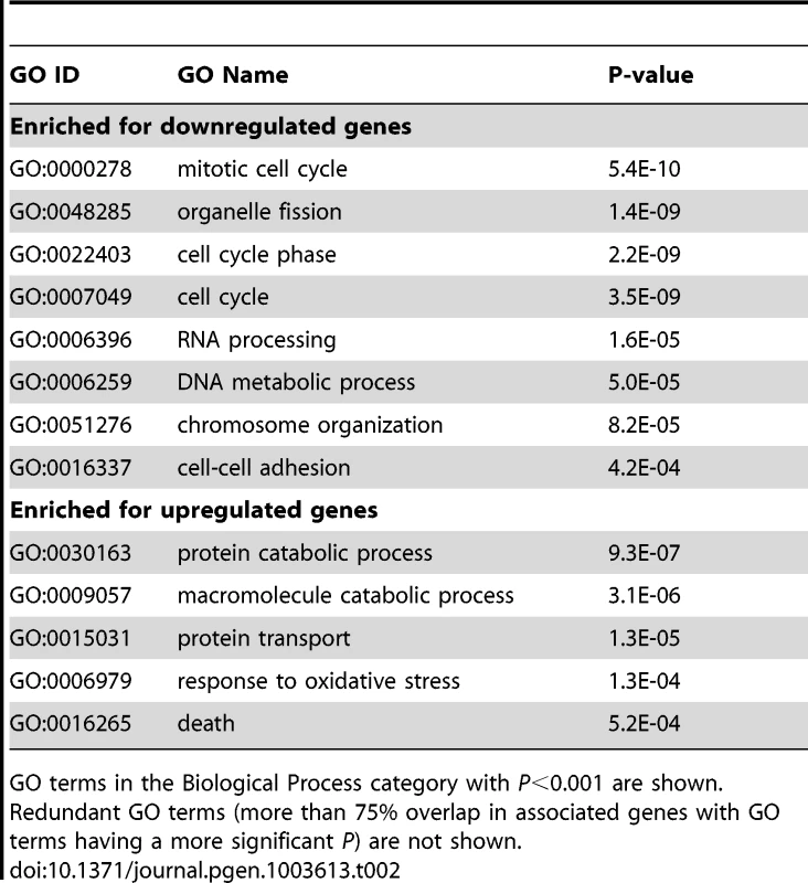 Gene Ontology terms enriched for upregulated and downregulated genes after CstF-77 knockdown.