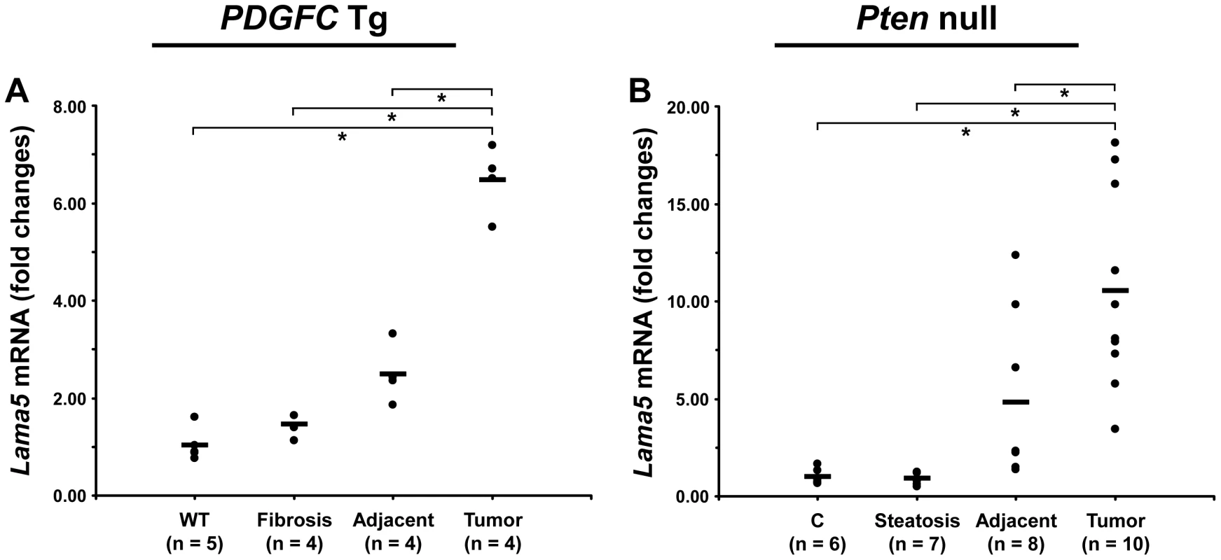Up-regulation of laminin α5 mRNA in <i>PDGFC</i> Tg and <i>Pten</i> null tumors.
