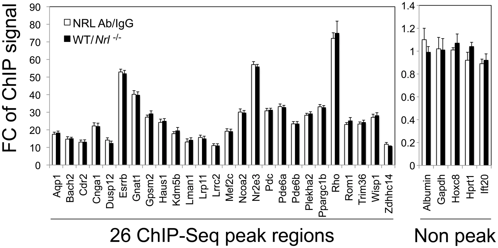 Validation of NRL binding to corresponding peak regions by ChIP–qPCR.