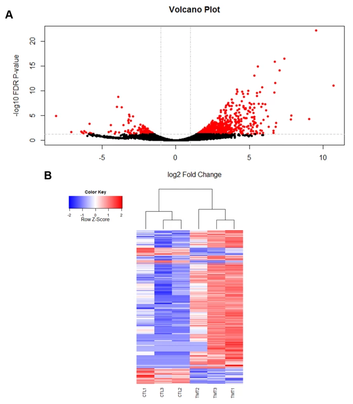 Viral infection with IAPV alters gene expression patterns in honey bee fat bodies.