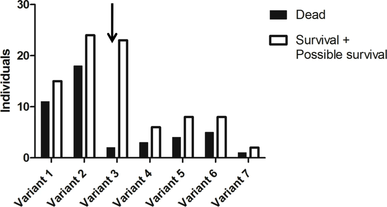 Allele frequencies of the <i>rFut2</i> promoter region of dead and survival animals in the 1995–1996 RHDV outbreaks at Chèvreloup, France.