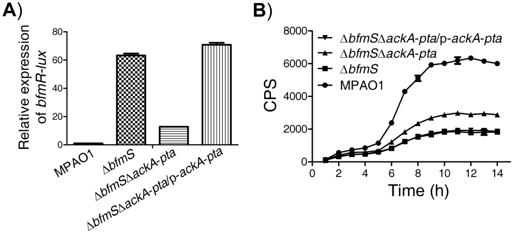 Effect of the Pta-AckA pathway and carbon sources availability on the activation of BfmR in the absence of BfmS.
