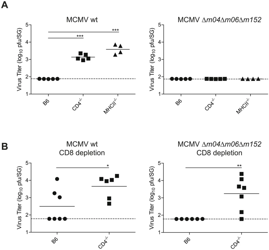 MCMV control in the SG in presence or absence of viral immune evasion genes.