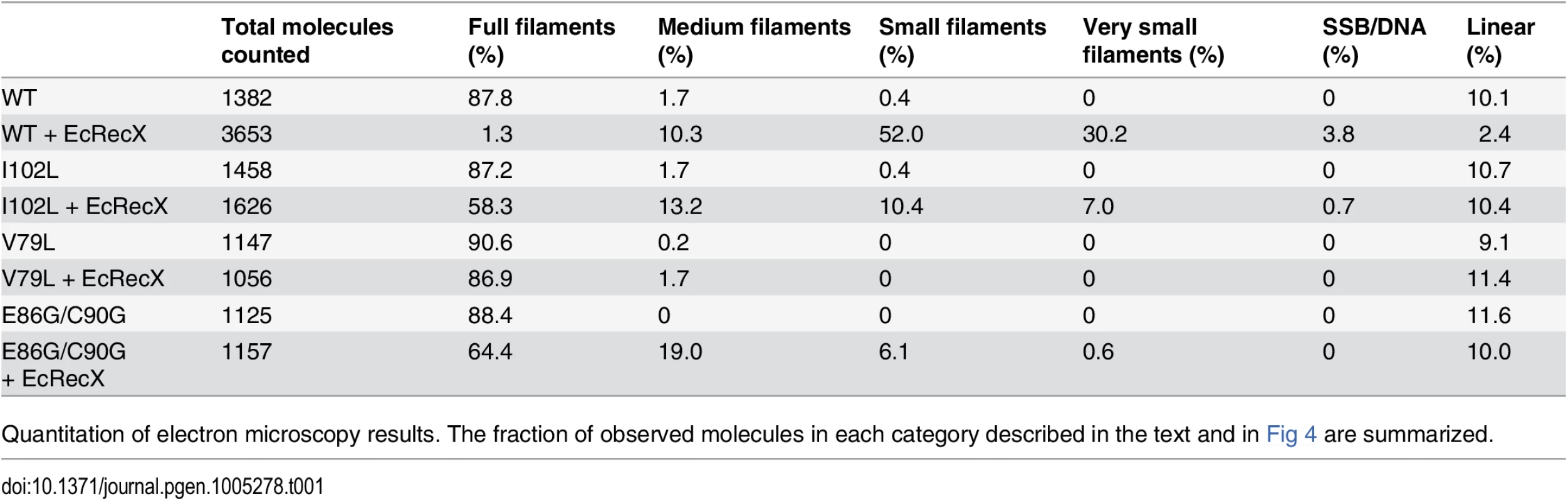 Effect of EcRecX on RecA and RecA variant filaments.