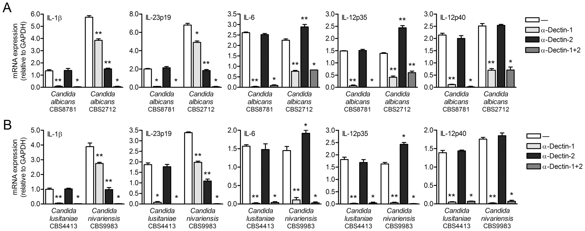 Dectin-1 and dectin-2 contribute to <i>Candida</i> spp.-induced cytokine expression.