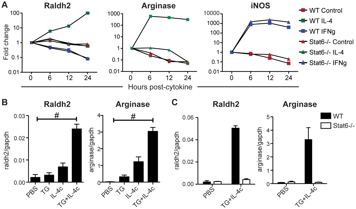 IL-4 induces Stat6-dependent Raldh2 expression in macrophages <i>in vitro</i> and <i>in vivo</i>.