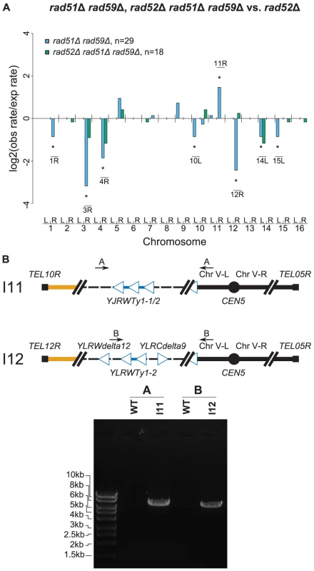 Further MLPA and PCR analyses of GCRs derived from recombination-deficient mutant strains.