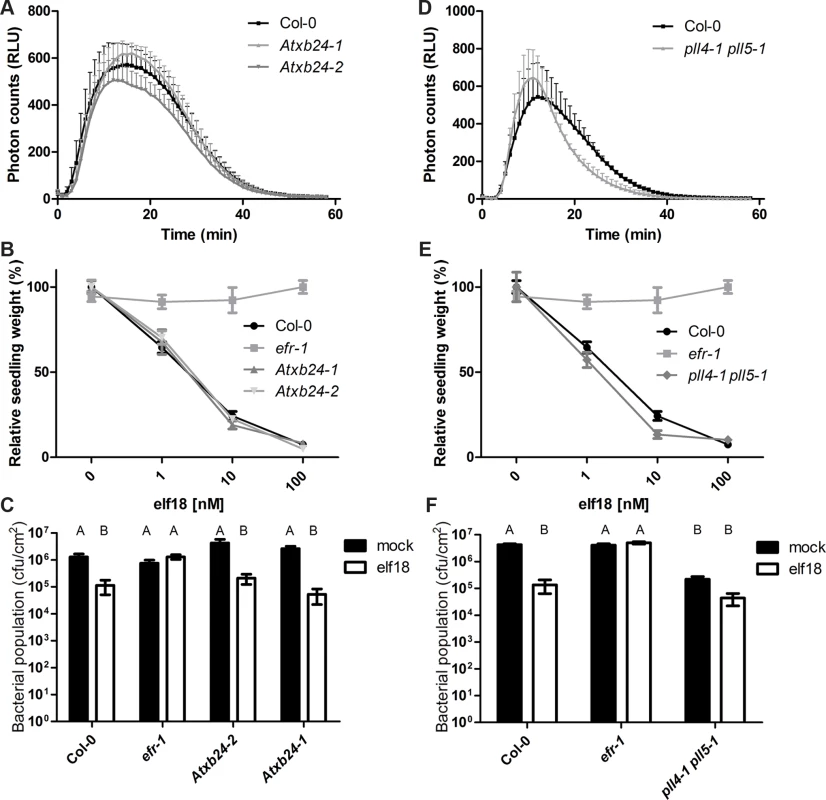 AtXB4 and PLL4/5 play a role in EFR-mediated signaling.