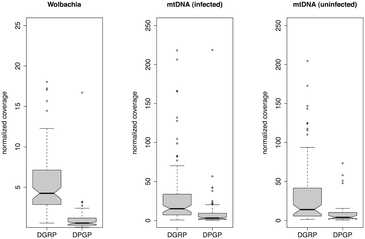 Relative depth of sequencing coverage for <i>Wolbachia</i> and mtDNA assemblies.
