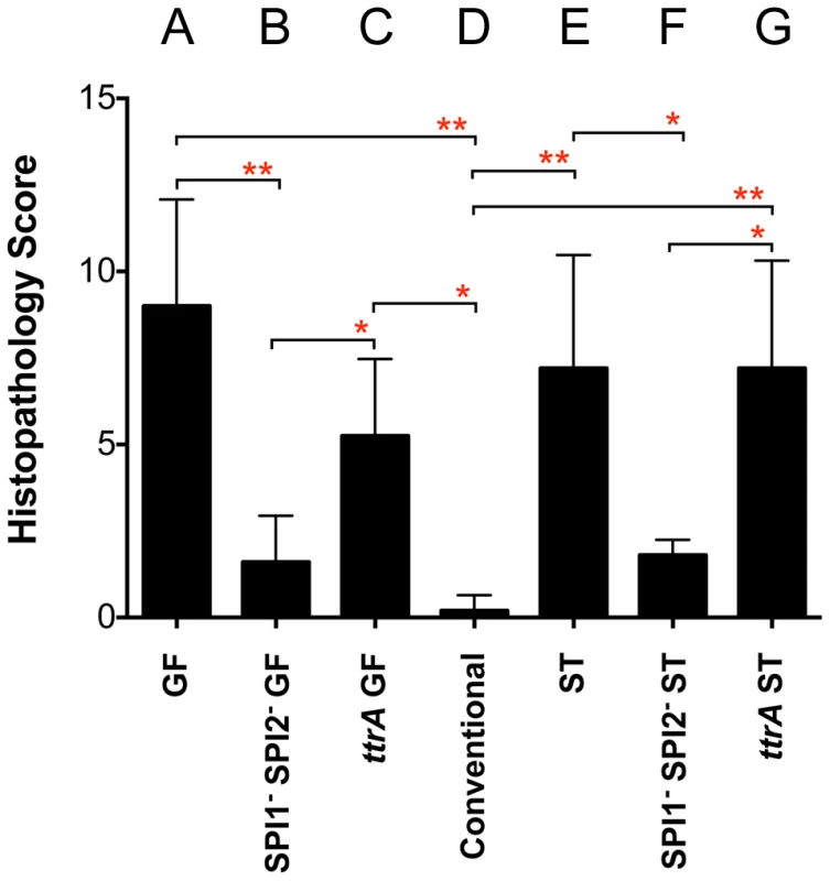 Histopathology scores of C57BL/6 mice after i.g. inoculation with <i>Salmonella</i>.