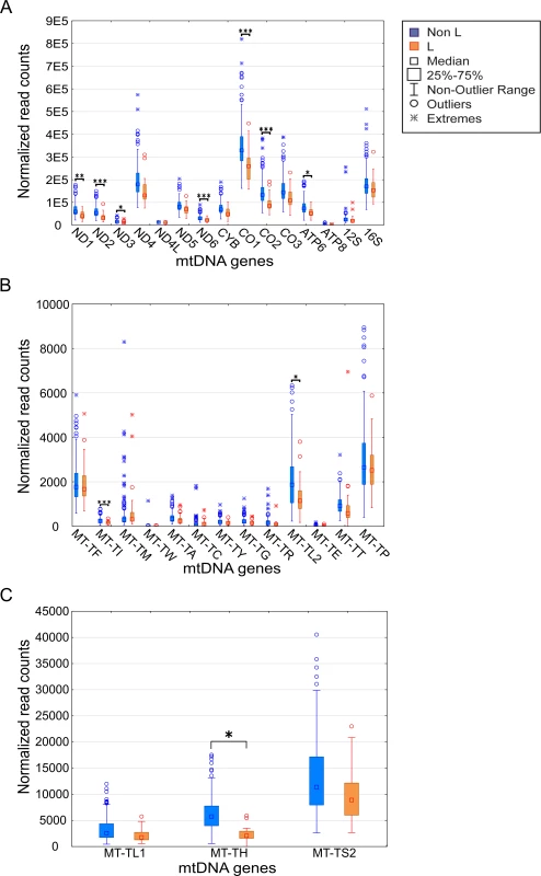 mtDNA gene expression is lower in L-haplogroup individuals.