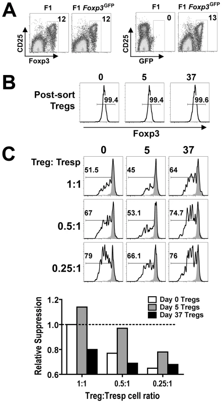 Dynamic regulation of Treg suppressive potency during persistent <i>Salmonella</i> infection.
