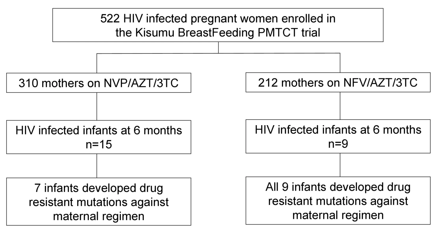 Cohort profile showing mothers enrollment, HIV transmission, and subsequent emergence of drug resistance in infants born to mothers in the NFV- and NVP-based regimens.