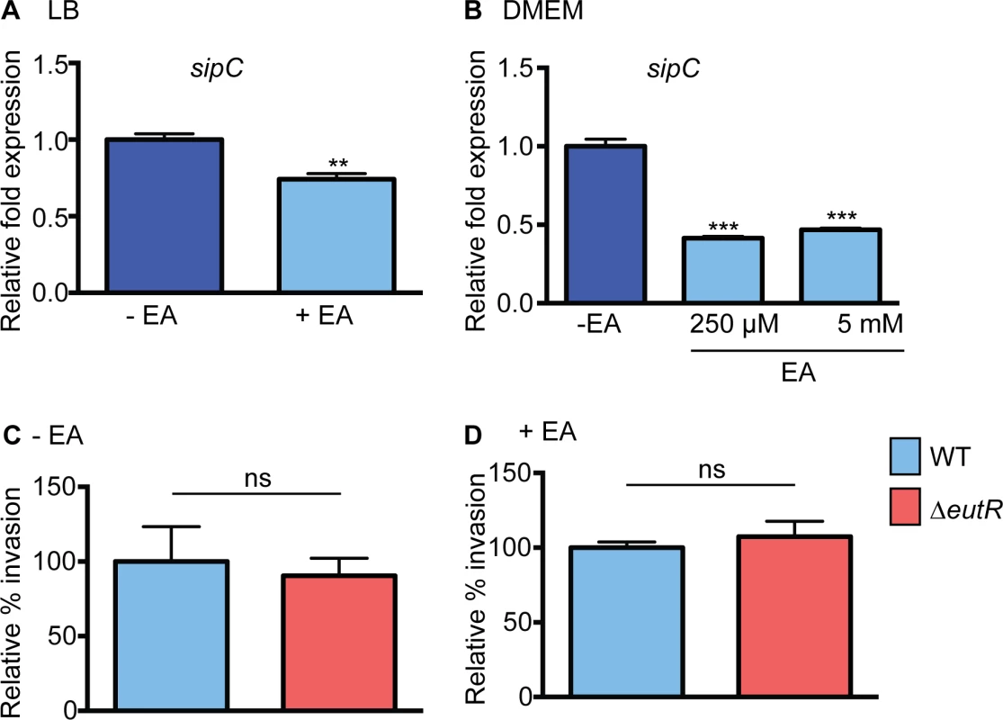 Effect of ethanolamine and EutR on SPI-1.
