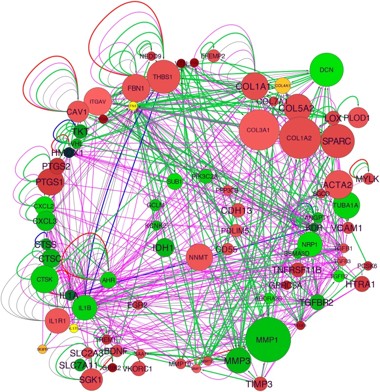 TCF21 Vascular Disease Network built with differential gene expression data from si<i>TCF21</i> RNA-Seq studies in HCASMC.