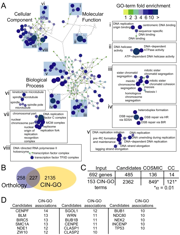 A constellation of GO-terms define CIN pathways and human CIN candidates.