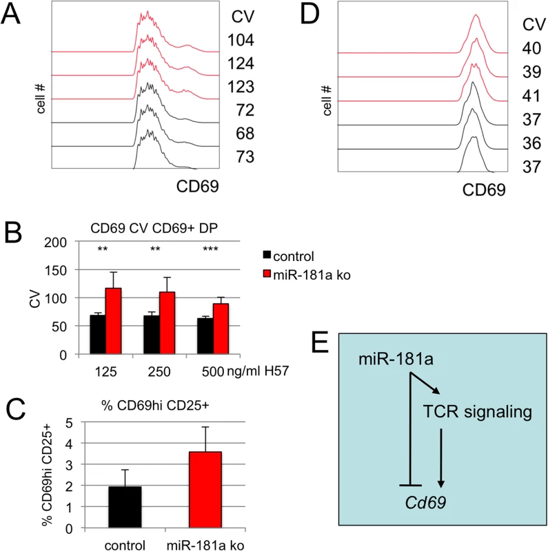 miR-181a controls cell-to-cell variation in CD69 expression.