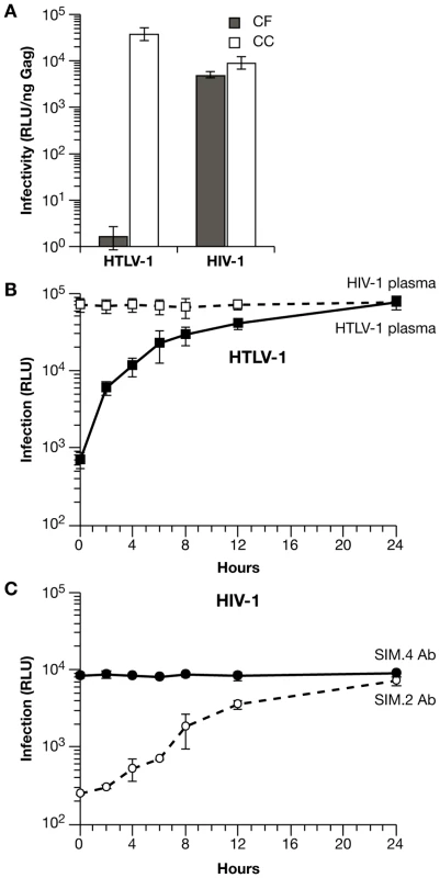 Differences in the mechanisms of transmission for HTLV-1 and HIV-1 in Jurkat-Raji/CD4 cocultures.