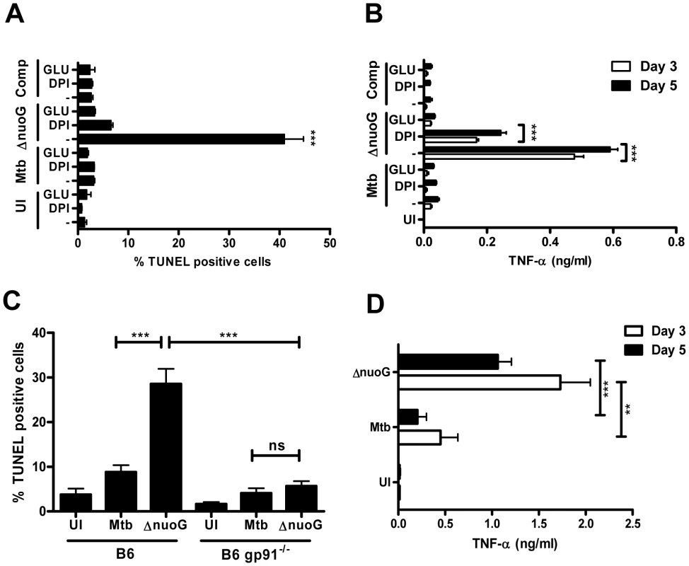 Mtb NuoG mediates inhibition of ROS-dependent induction of apoptosis.