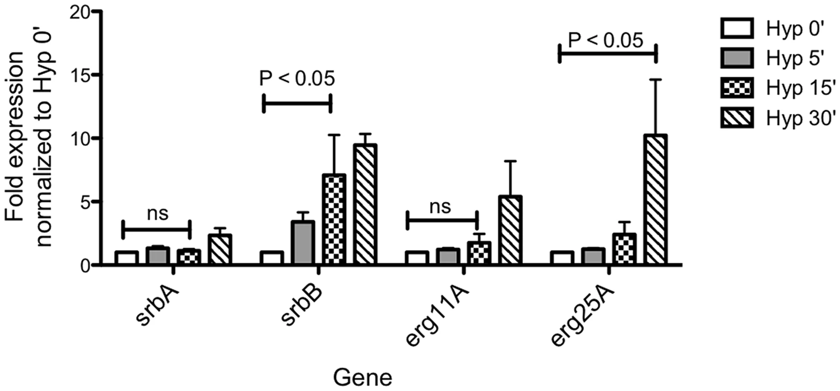 Temporal transcriptional induction of SrbA and SrbB in response to Hypoxia Reveals SrbB transcript levels are induced prior to SrbA.