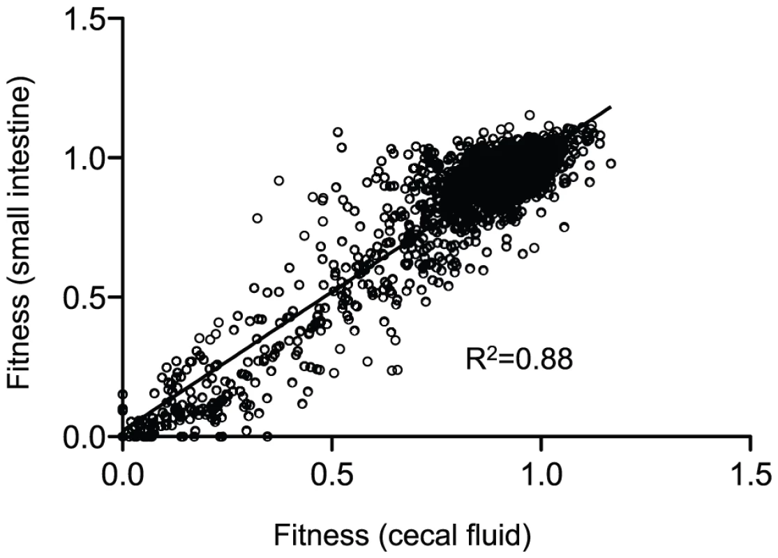 A correlation plot of fitness values from host-passaged <i>V. cholerae</i>.