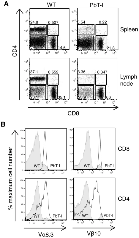 Characterization of T cells from the spleen and lymph node of PbT-I mice.