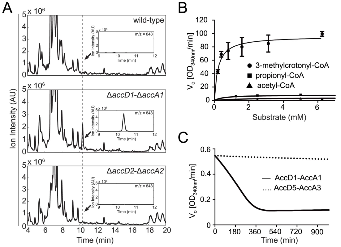 Identification and biochemical characterization of the AccD1-AccA1 substrate 3-methylcrotonyl-CoA.