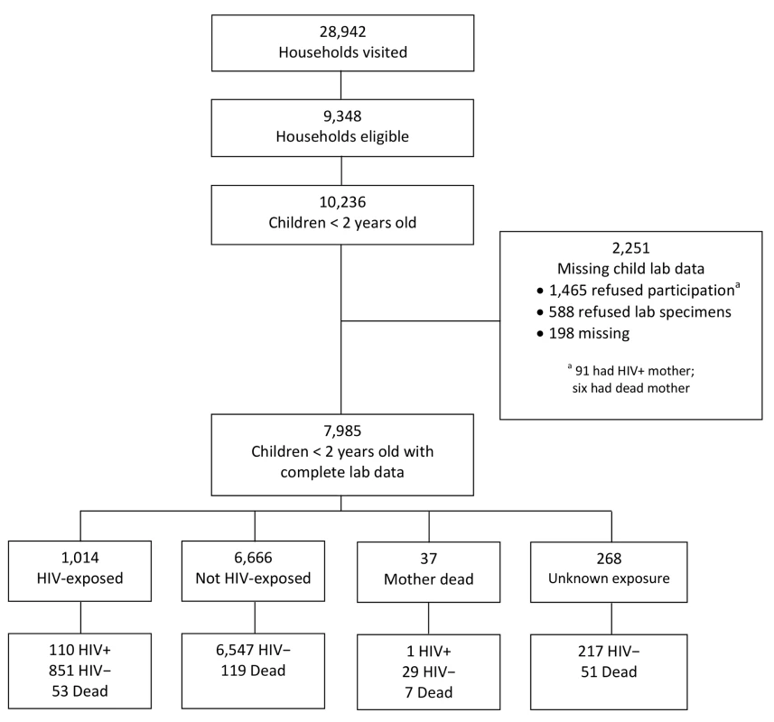Description of the cohort of children born in the previous 2 y (&lt;i&gt;n&lt;/i&gt; = 10,236) from all eligible households (&lt;i&gt;n&lt;/i&gt; = 9,348) visited from May 2008 to May 2009.
