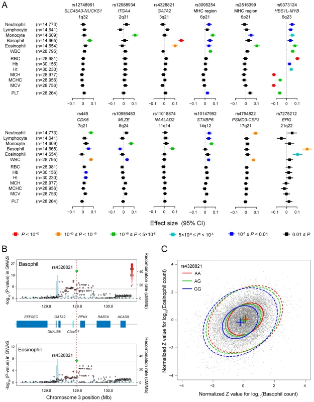 Pleiotropic associations of the genetic loci associated with the WBC subtypes.