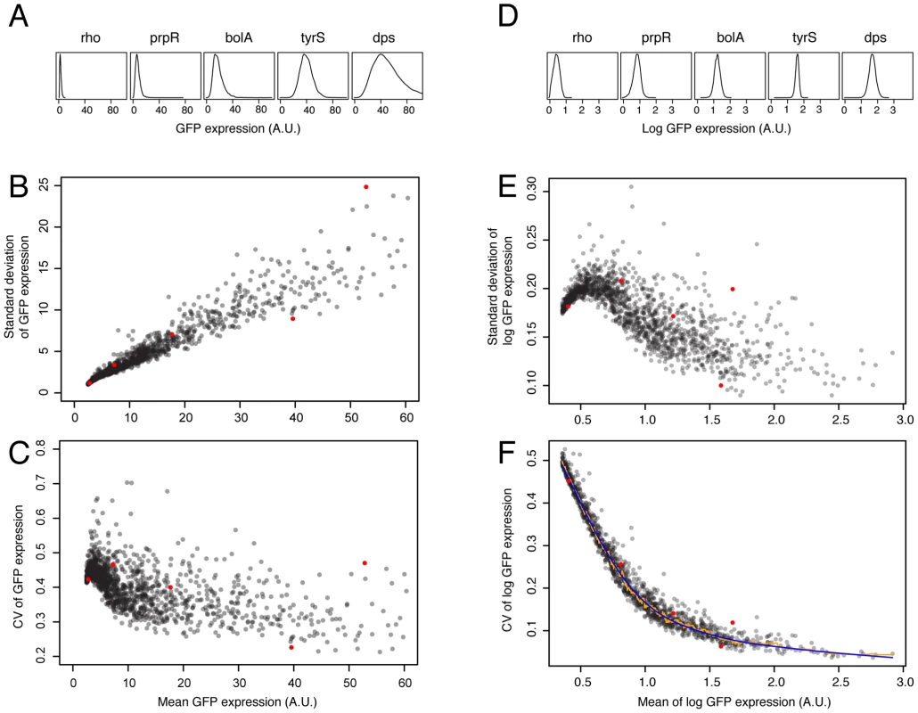 Dependence of variation in mRNA expression on mean mRNA expression level and derivation of a noise metric.