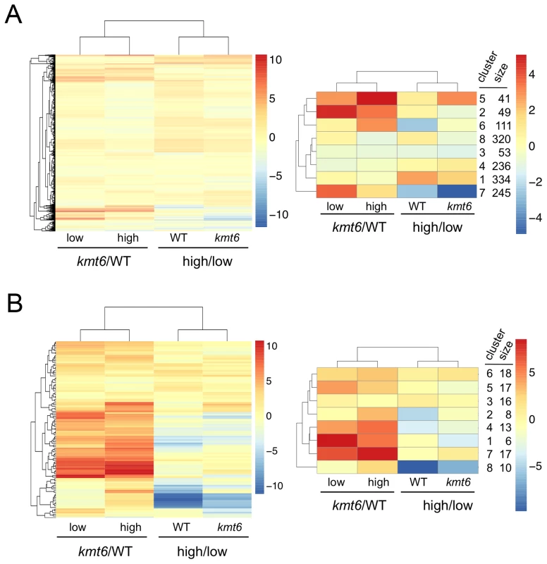 Heatmaps for individual genes in primary (A) and secondary (B) metabolism (left panels) and clusters of genes around eight centers (right panels).