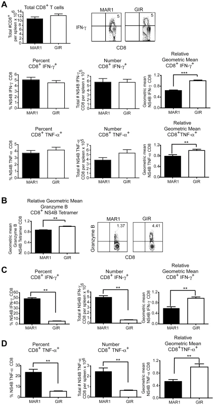 Effect of treatment of MAR1-5A3 on WNV-specific CD8<sup>+</sup> T cell responses.