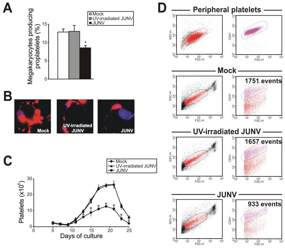 JUNV infection impairs proplatelet production and platelet release.