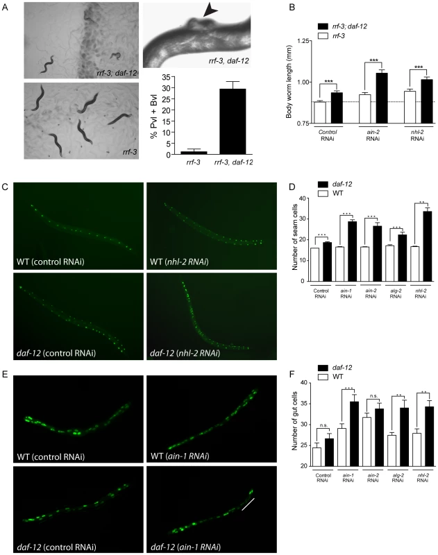 <i>daf-12(0)</i> worms are sensitized to changes in miRISC activity.