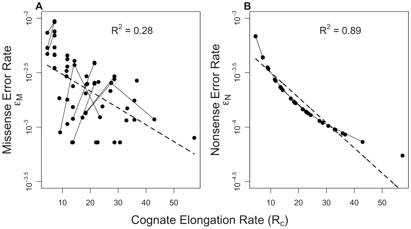Correlation of translation error rates  with cognate elongation rate  in <i>E. coli</i>.