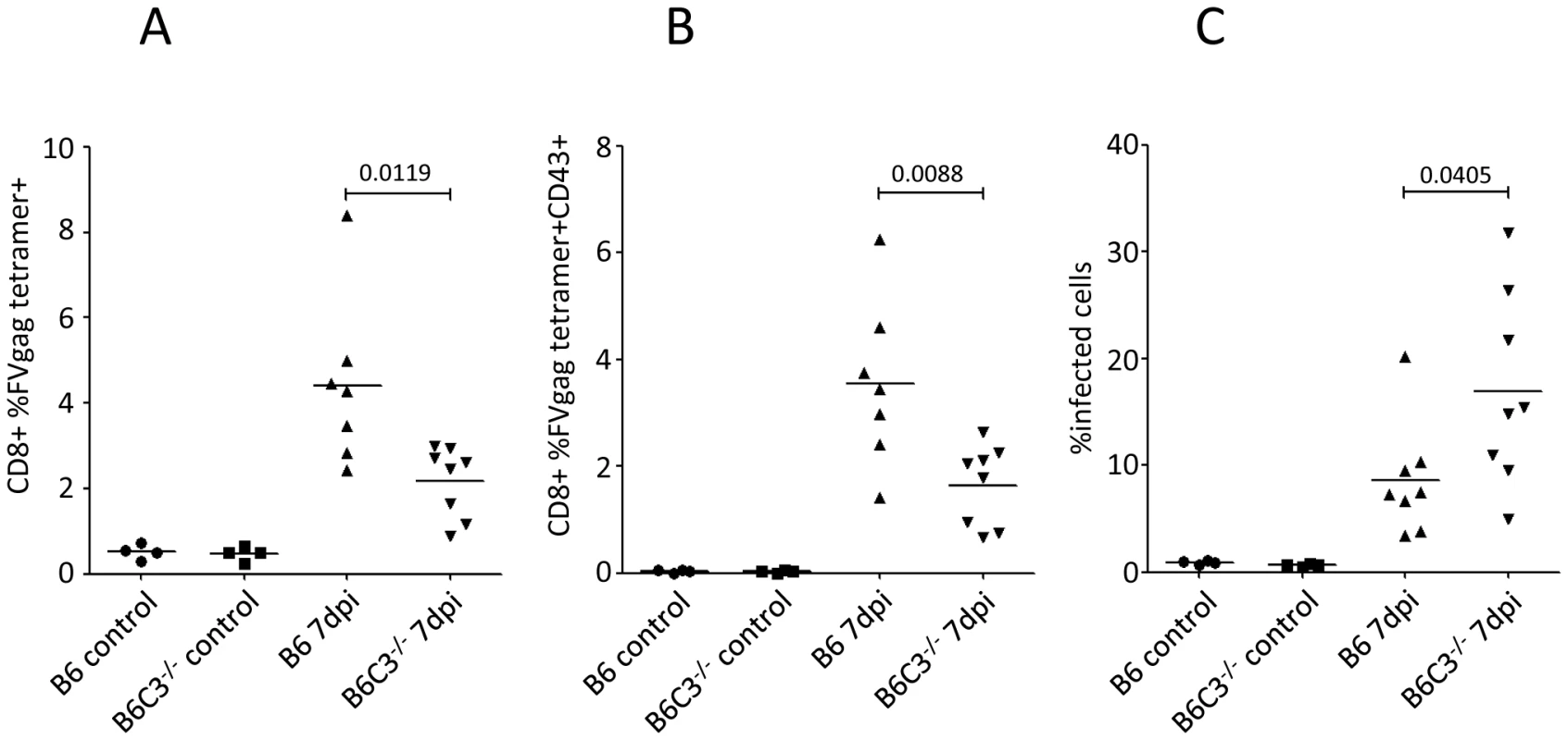 Pronounced FV-infection in C3-deficient mice correlates with a lower frequency of FV-specific CTLs.