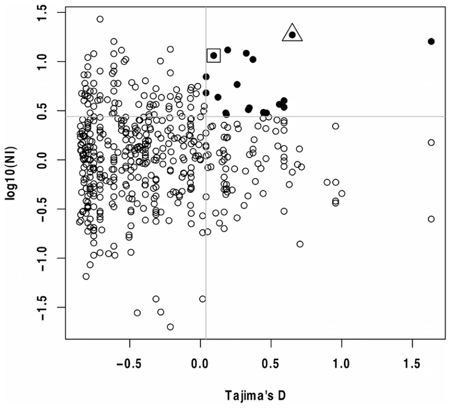 Tajima's D and MK test NI values for <i>P. falciparum</i> genes.