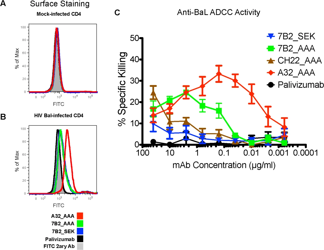 Ability of HIV-1 Env-specific mAbs to bind HIV-1 infected cells and mediate ADCC.
